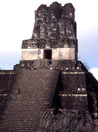 Guatemala, alla citt� maya di Tikal, nella giungla del Pet�n